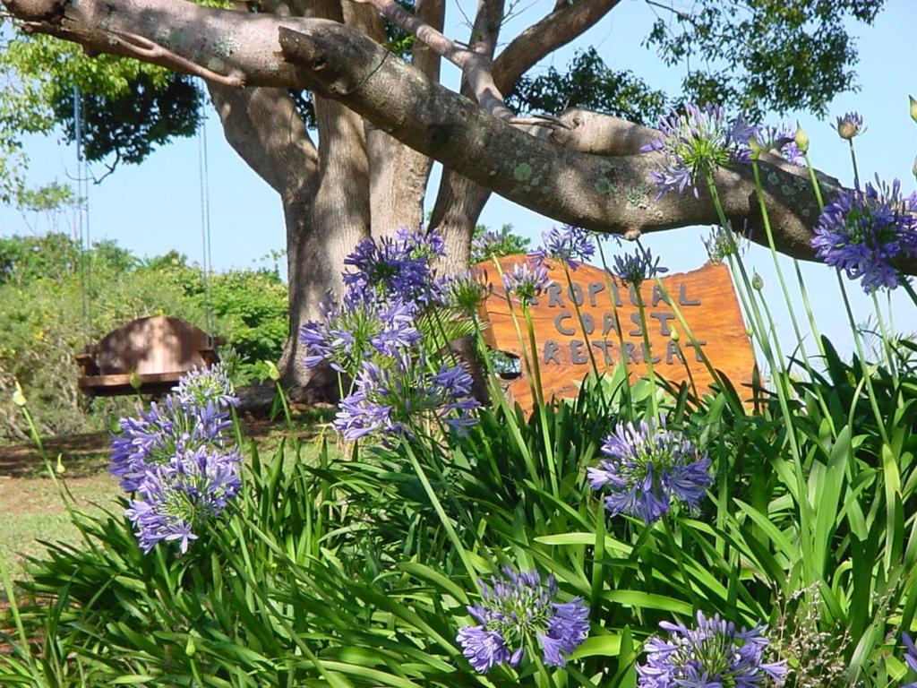 Country house Tropical Coast Retreat - Pet Friendly - Adult Only Kingscliff