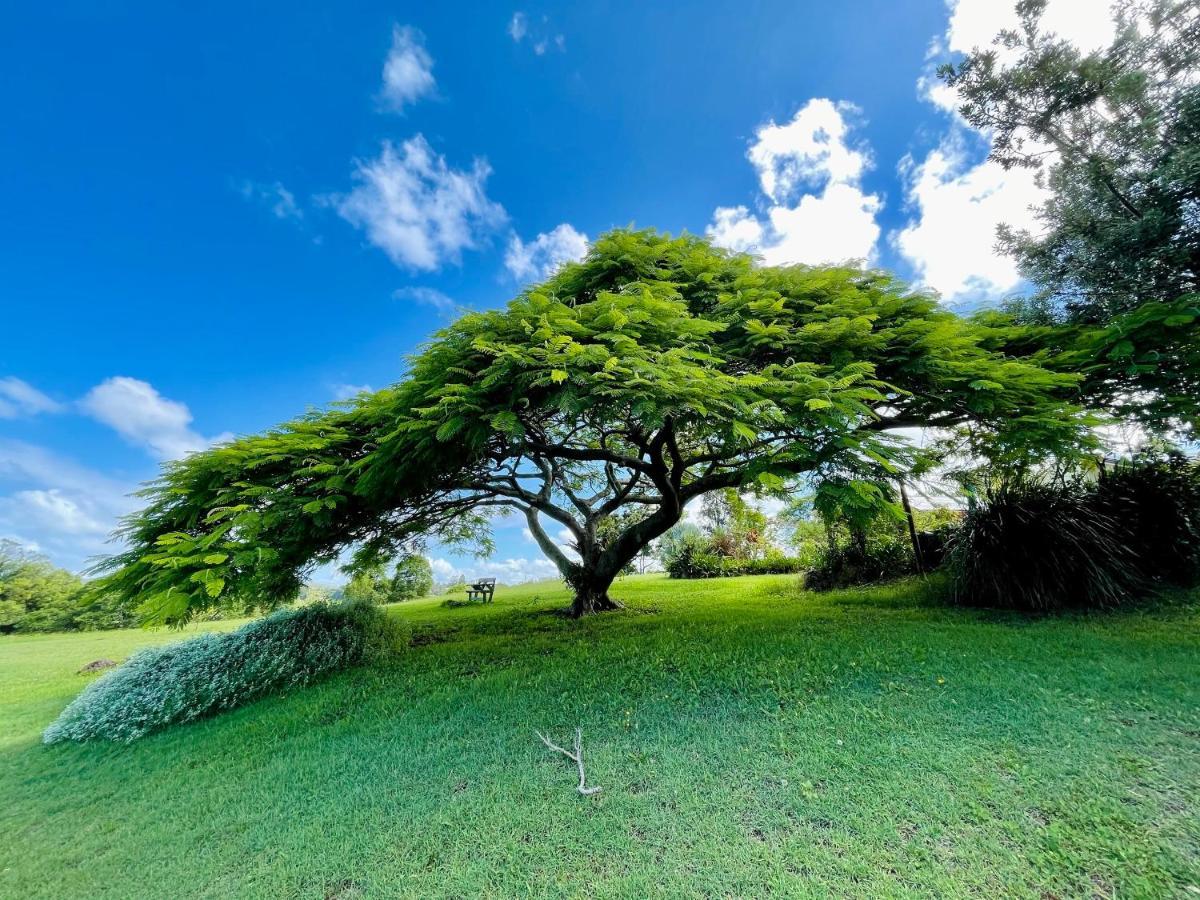 Country house Tropical Coast Retreat - Pet Friendly - Adult Only *