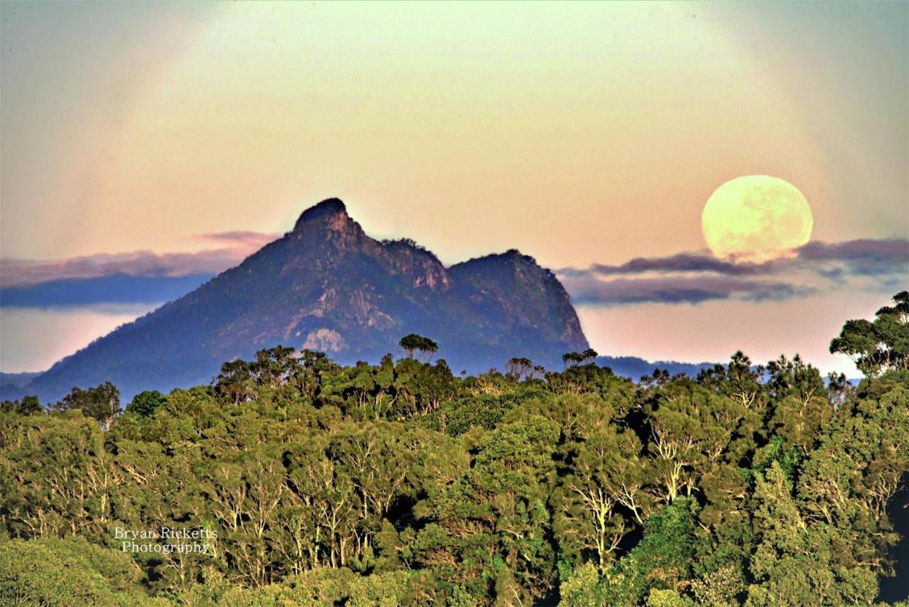 Country house Tropical Coast Retreat - Pet Friendly - Adult Only Kingscliff