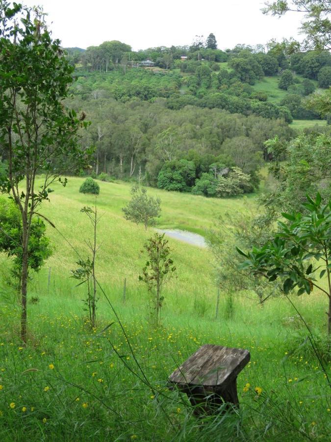 Country house Tropical Coast Retreat - Pet Friendly - Adult Only Kingscliff