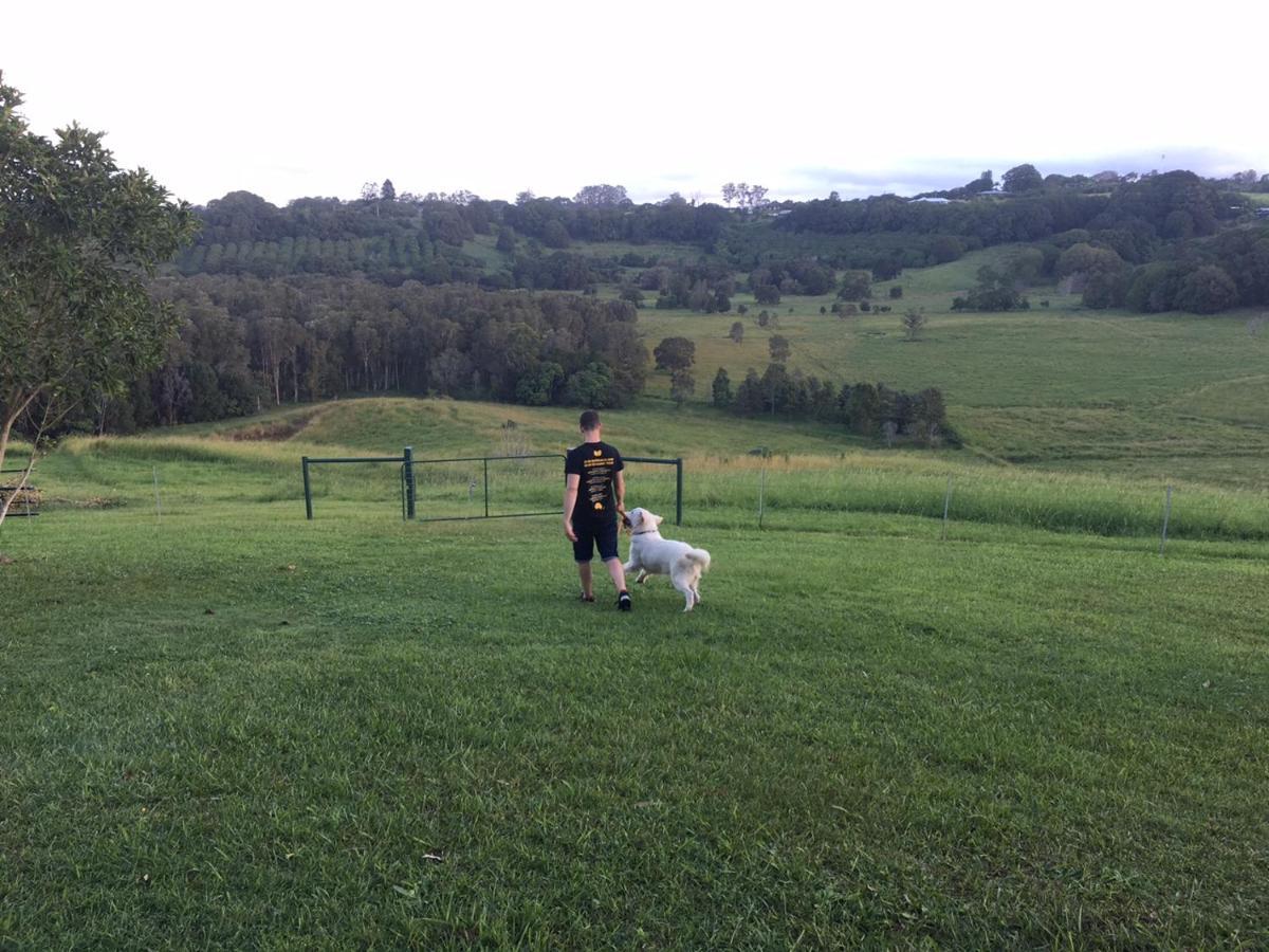Tropical Coast Retreat - Pet Friendly - Adult Only Country house Kingscliff