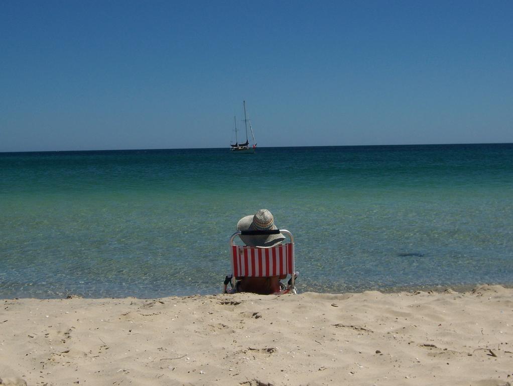Tropical Coast Retreat - Pet Friendly - Adult Only
