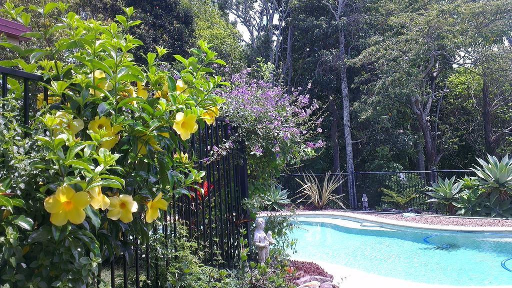 Tropical Coast Retreat - Pet Friendly - Adult Only Kingscliff