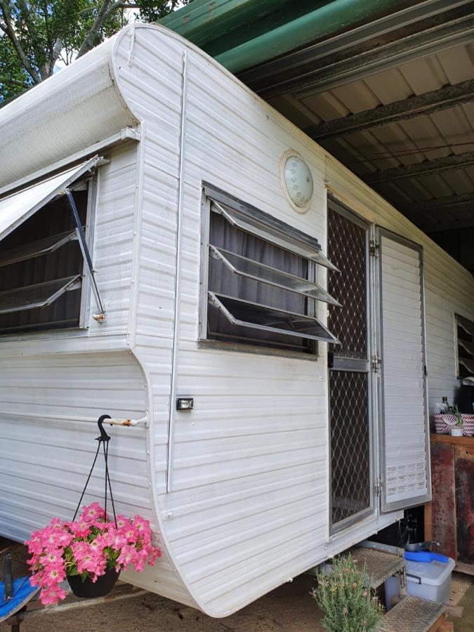 Tropical Coast Retreat - Pet Friendly - Adult Only Country house