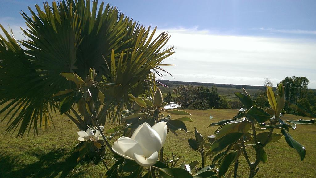 Tropical Coast Retreat - Pet Friendly - Adult Only Country house *