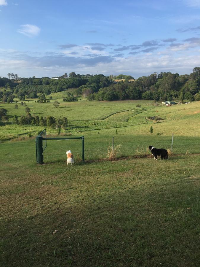 Country house Tropical Coast Retreat - Pet Friendly - Adult Only