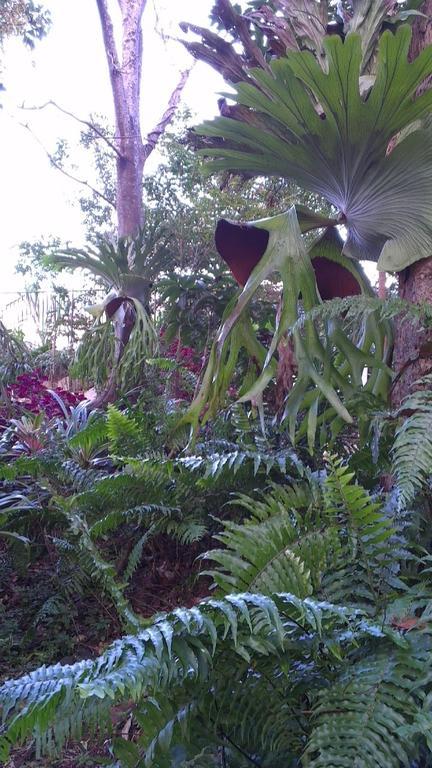 Tropical Coast Retreat - Pet Friendly - Adult Only Country house *